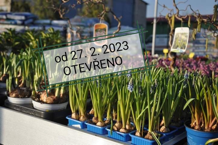 Zahradnictví OTEVŘENO od 27.2.2023