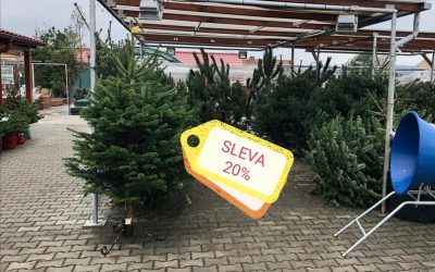 20% SLEVA na řezané vánoční stromky z Vysočiny.