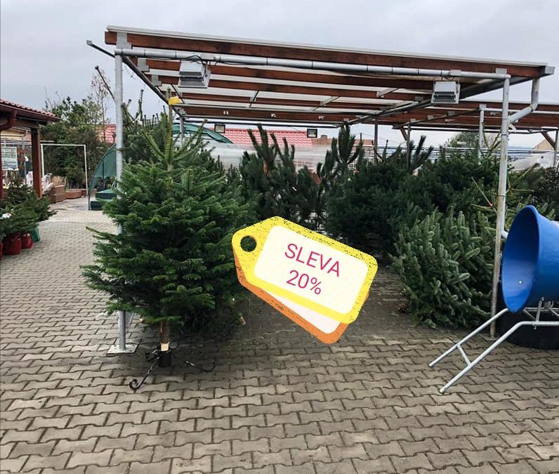 20% SLEVA na řezané vánoční stromky z Vysočiny.