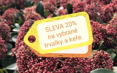 SLEVA 20% na vybrané trvalky a listnaté keře!!!