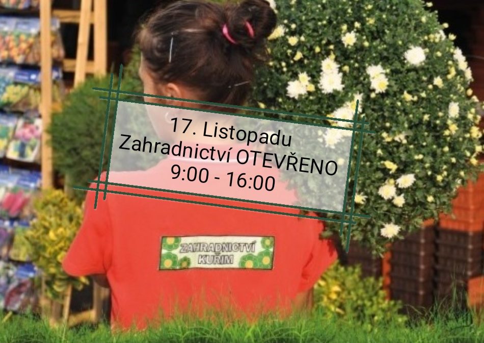 17. listopadu OTEVŘENO!