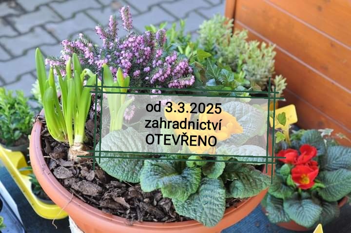 od 3.3.2025 opět OTEVŘENO!