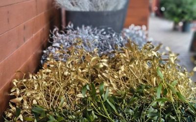 ADVENTNÍ NÁKUP U NÁS. Přineste si domů lásku a zapalte svíčku naděje.