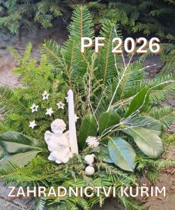 PF 2026