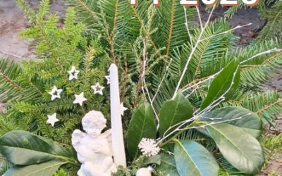 PF 2026 ⏳  Letošní prodejní sezóna UKONČENA!