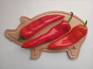 Je čas zasadit papriky. Zasaďte je podle rad českého šlechtitele.