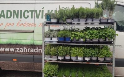 Přivezli jsme bylinky.