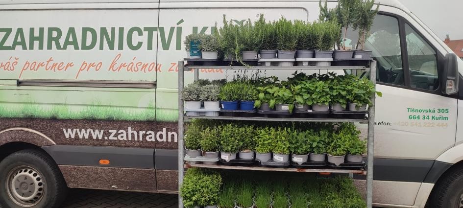 Přivezli jsme bylinky.