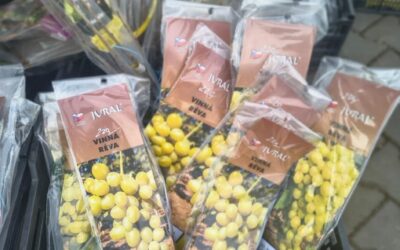 Nabídka keřů drobného ovoce a ovocných stromů