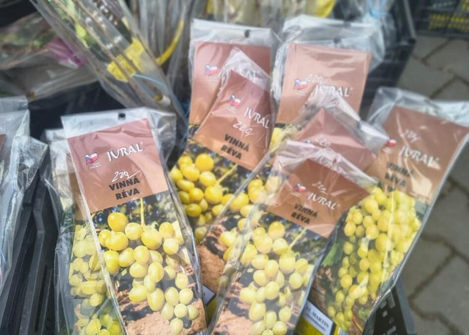 Nabídka keřů drobného ovoce a ovocných stromů